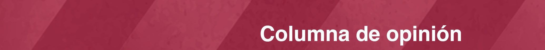 baner-cabezote-columnaopinion